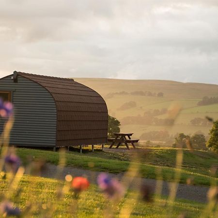 Wild Northumberland Glamping Villa Hexham Exteriör bild